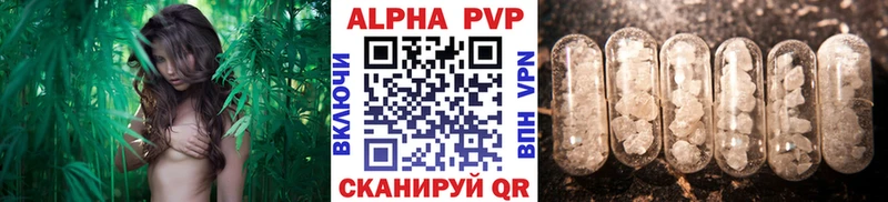 где купить   Череповец  маркетплейс как зайти  Alfa_PVP крисы CK 