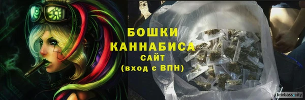 прущие грибы Белоозёрский