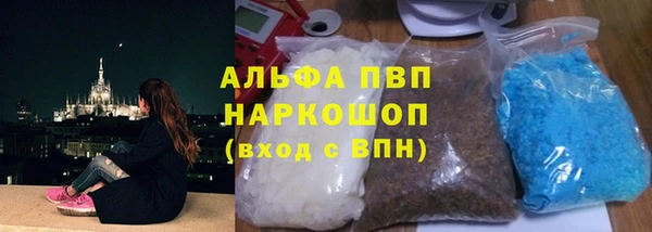 сатива Белокуриха