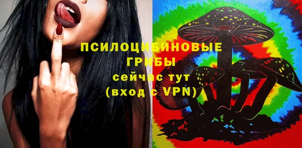 сатива Белокуриха