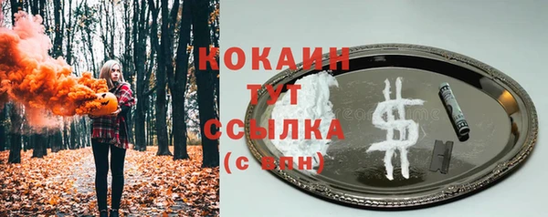 прущие грибы Белоозёрский