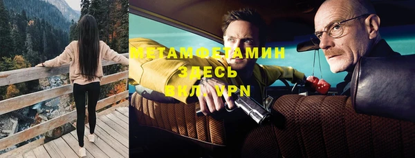 сатива Белокуриха