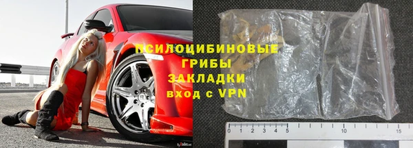 прущие грибы Белоозёрский