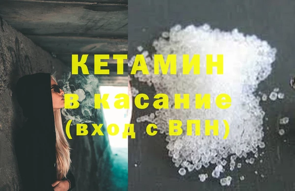 сатива Белокуриха