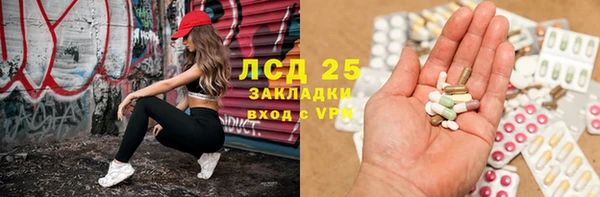 сатива Белокуриха